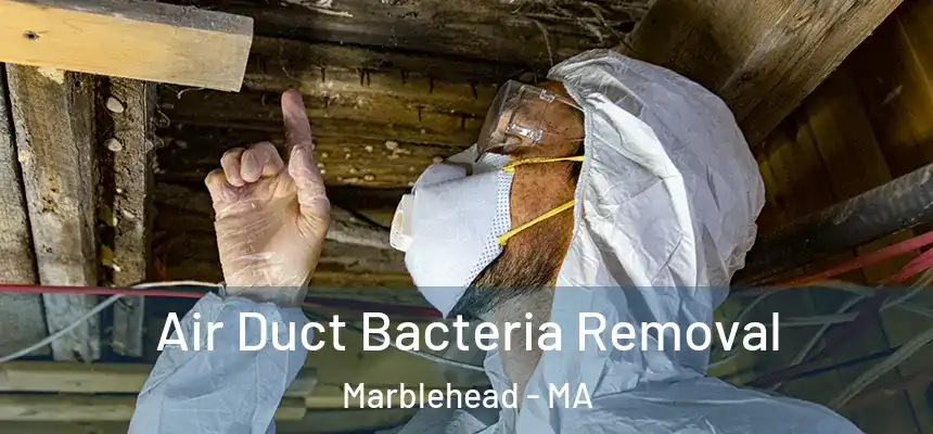  Air Duct Bacteria Removal Marblehead - MA