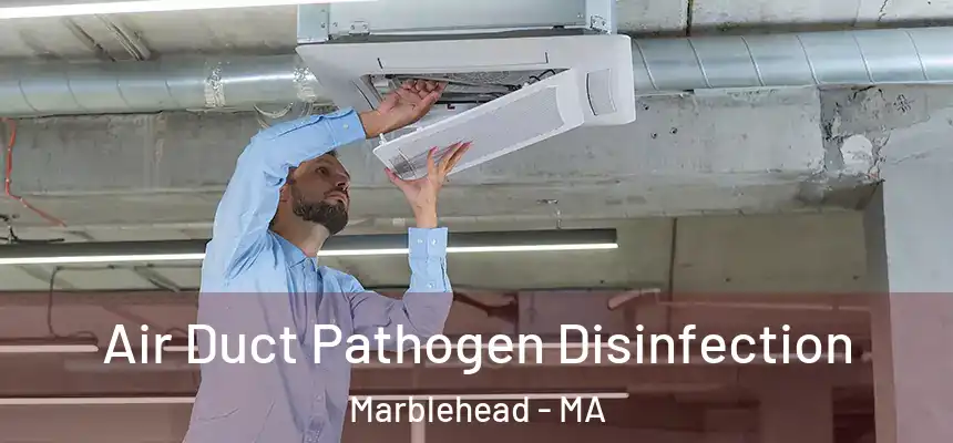 Air Duct Pathogen Disinfection Marblehead - MA