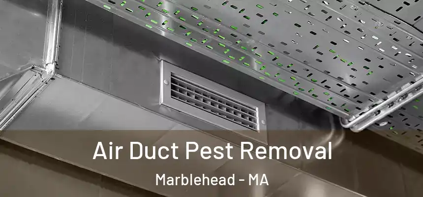 Air Duct Pest Removal Marblehead - MA