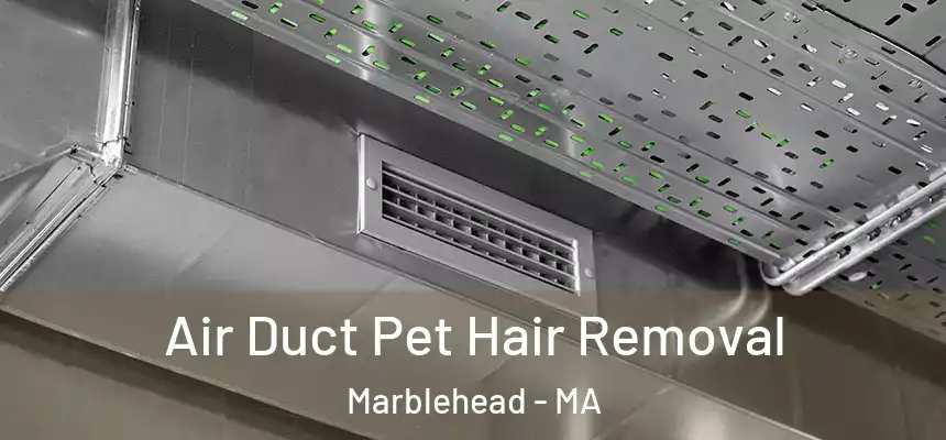 Air Duct Pet Hair Removal Marblehead - MA