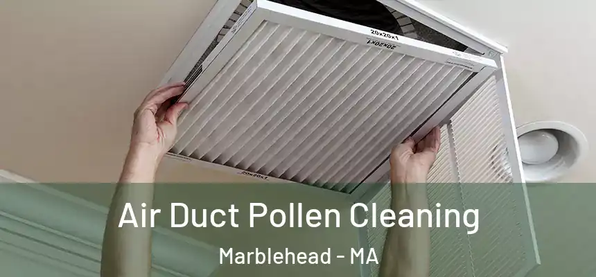 Air Duct Pollen Cleaning Marblehead - MA