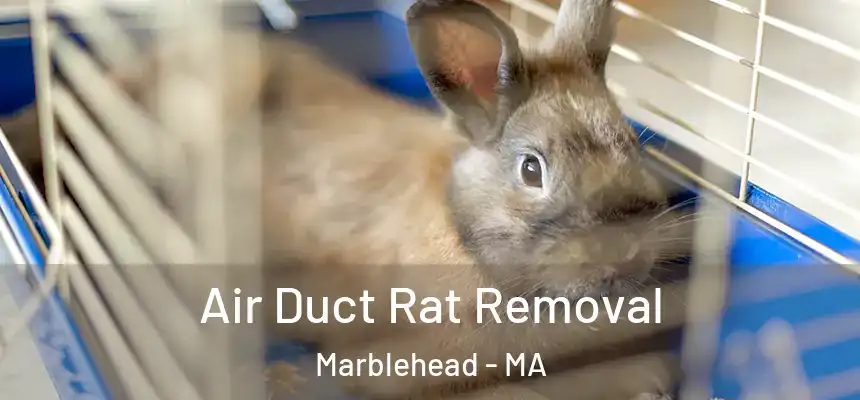  Air Duct Rat Removal Marblehead - MA