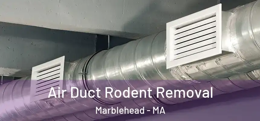 Air Duct Rodent Removal Marblehead - MA