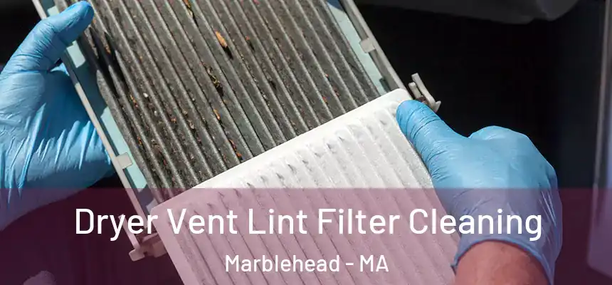 Dryer Vent Lint Filter Cleaning Marblehead - MA