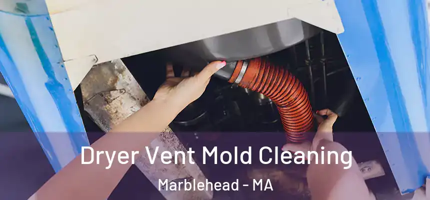 Dryer Vent Mold Cleaning Marblehead - MA