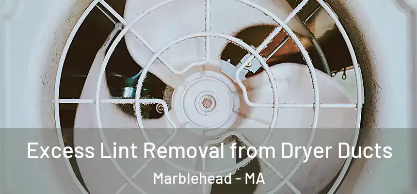  Excess Lint Removal from Dryer Ducts Marblehead - MA