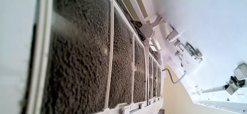 Preventive Air Duct Bacteria Removal in Marblehead