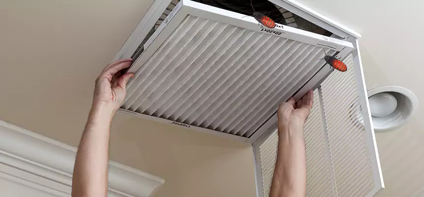 Preventive Cockroach-Proofing for Ducts in Marblehead