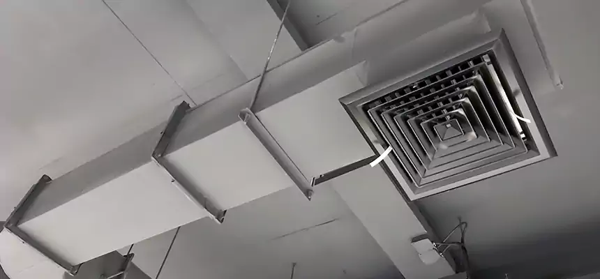 Our Pest Removal From Ducts Services in Marblehead, MA