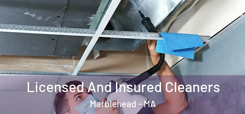Licensed And Insured Cleaners Marblehead - MA
