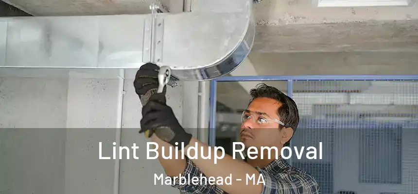 Lint Buildup Removal Marblehead - MA