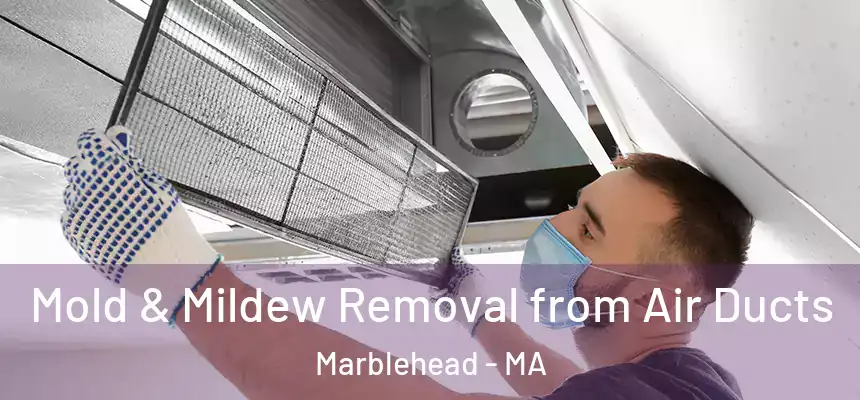 Mold & Mildew Removal from Air Ducts Marblehead - MA
