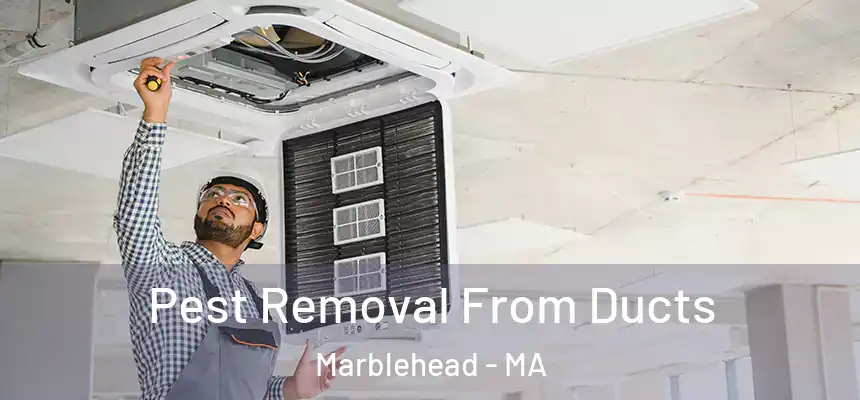 Pest Removal From Ducts Marblehead - MA