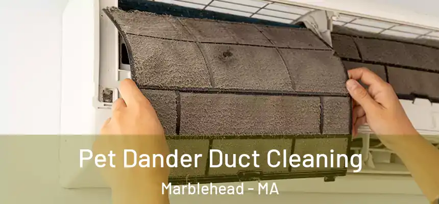 Pet Dander Duct Cleaning Marblehead - MA
