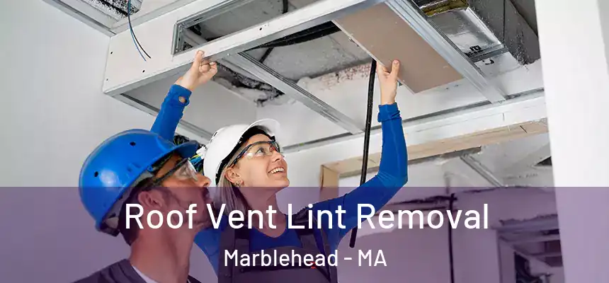  Roof Vent Lint Removal Marblehead - MA