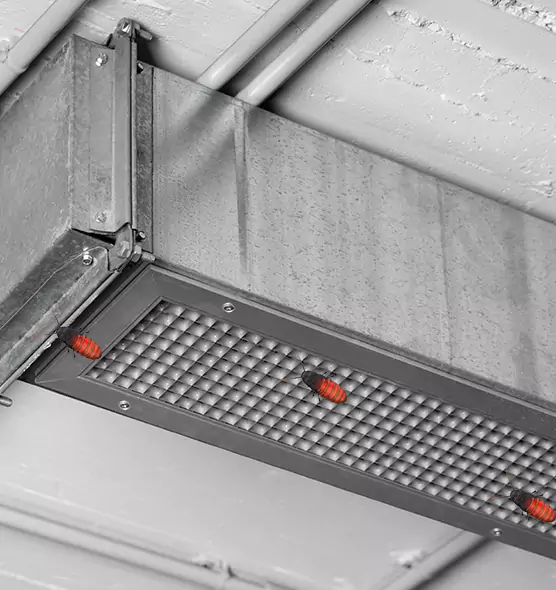 About Air Duct Cockroach Removal in Marblehead, MA