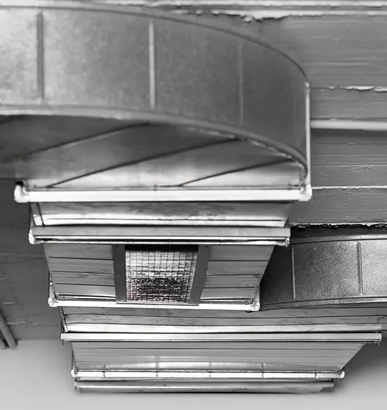 Professional Air Duct Pet Hair Removal in Marblehead, MA