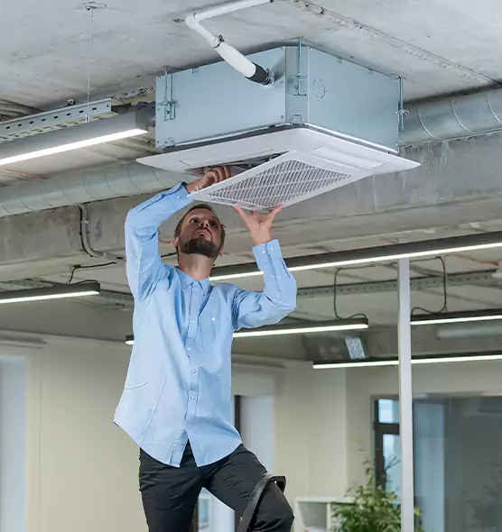 Advanced Rodent Droppings In Vents in Marblehead, MA