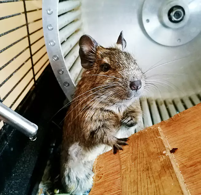 Why Homeowners & Businesses Trust Us Marblehead, MA